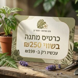 גיפט קארד 250שח תומר גן